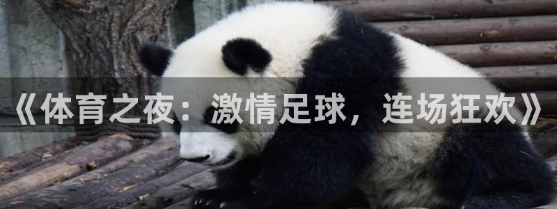 《体育之夜：激情足球，连场狂欢》