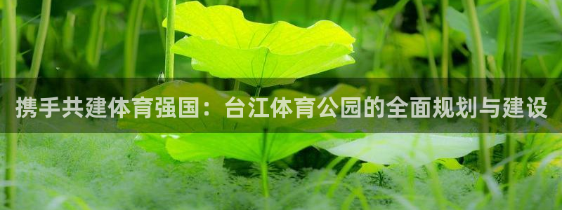 携手共建体育强国：台江体育公园的全面规划与建设