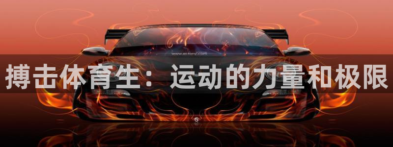 意昂43登陆：搏击体育生：运动的力量和极限