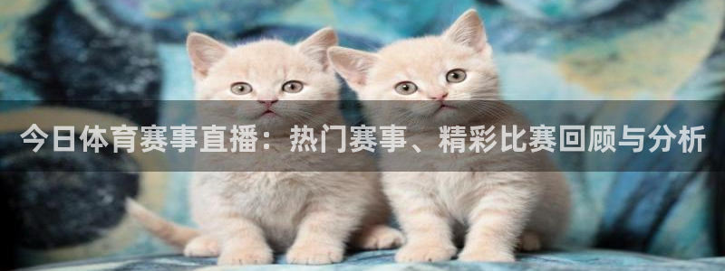 意昂4体育论坛：今日体育赛事直播：热门赛事、精彩比赛回顾与分析