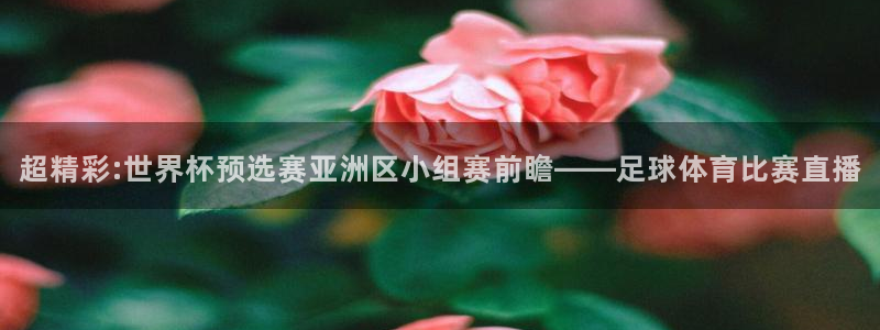 意昂4体育4：超精彩:世界杯预选赛亚洲区小组赛前瞻——足球体育比赛直播