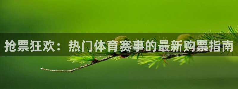 意昂4平台招商：抢票狂欢：热门体育赛事的最新购票指南